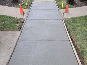 55 Lawns service 2