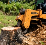55 Lawns stump grinding