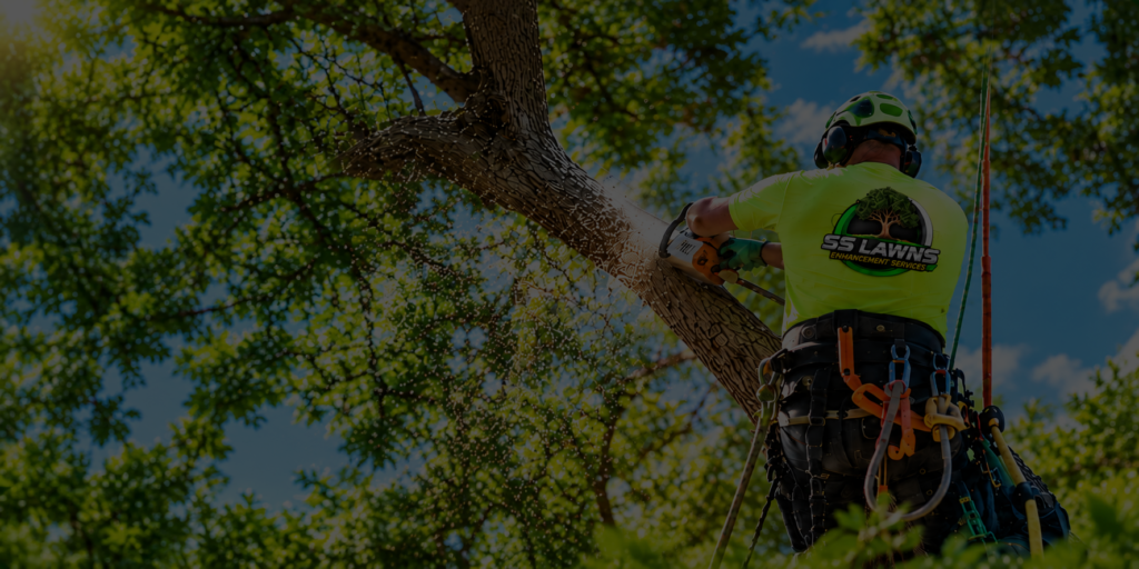 55 Lawns tree hero